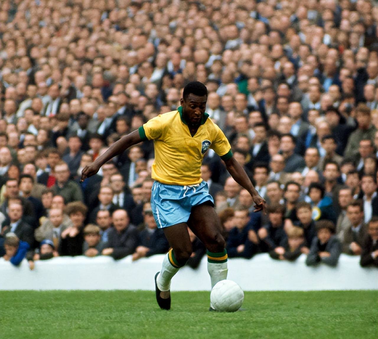 直击2025武汉马运会现场：马术青训人群数量倍增，有参赛者13岁已学习马术6年